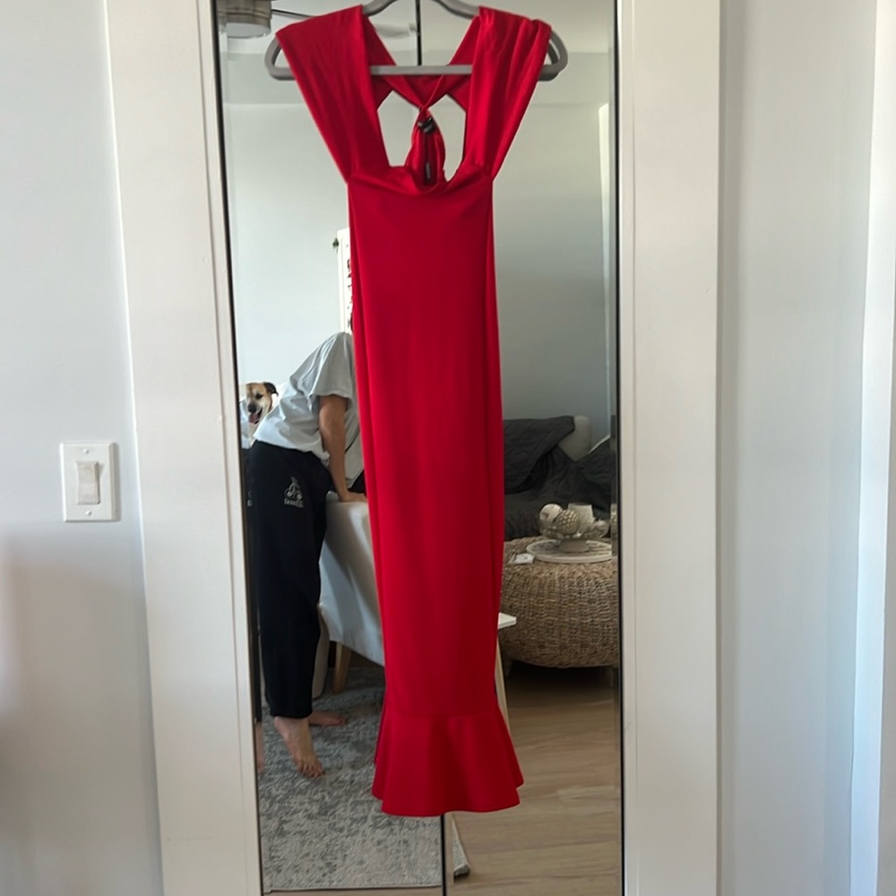 Pretty little thing dress